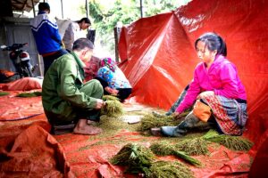 تطبيقات عملية لدور القاضي الجزائري في المنازعات الجمركية