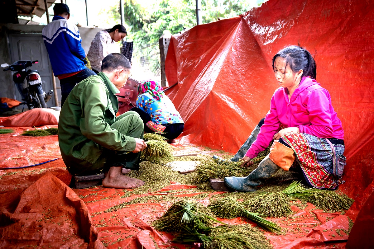 تطبيقات عملية لدور القاضي الجزائري في المنازعات الجمركية